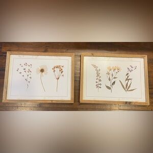 Set of 2 Plant & Flower Wall Decor | Wood frame Home or Office Decor